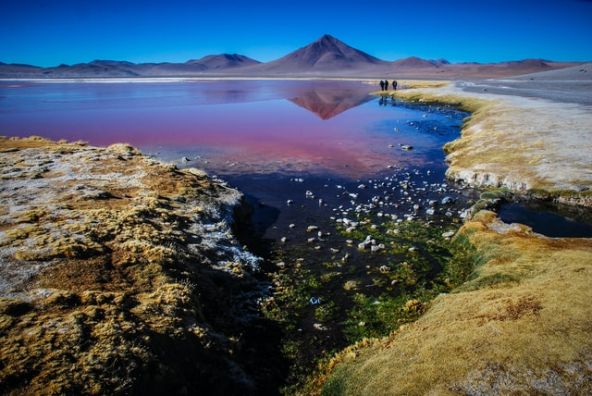 mauve-group-bolivia-altiplano-by-hugo-kruip-unsplash.jpg