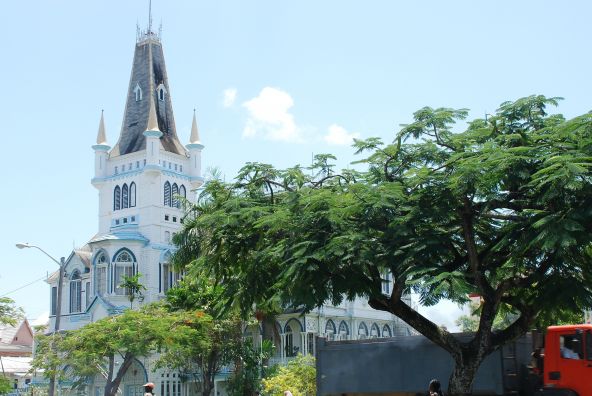 mauve-group-guyana-by-dinesh-chandra-pal-unsplash.jpg