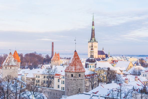 mauve-group-estonia-talin-by-ilya-orehov-unsplash.jpg