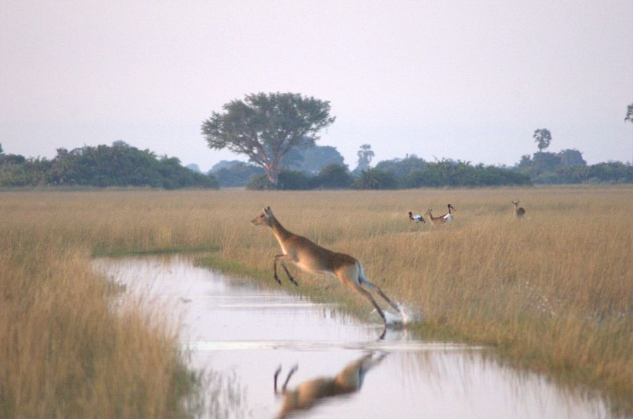 Botswana